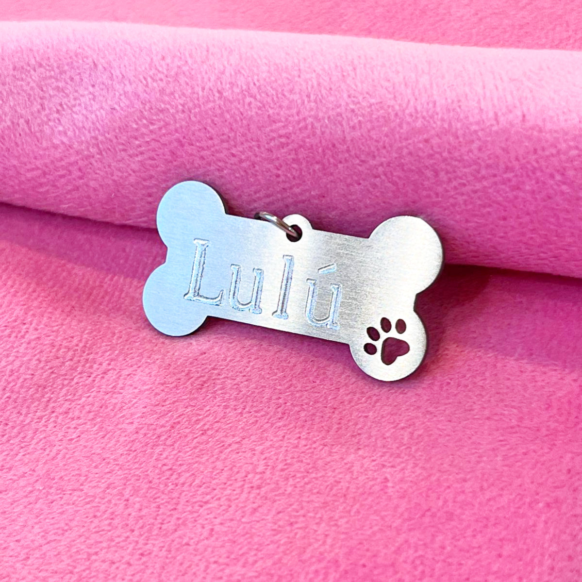 Placa de identificación para perro