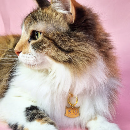 Placa de identificación para gatos