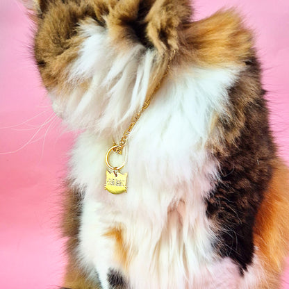 Placa de identificación para gatos