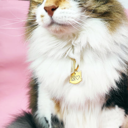 Placa de identificación para gatos